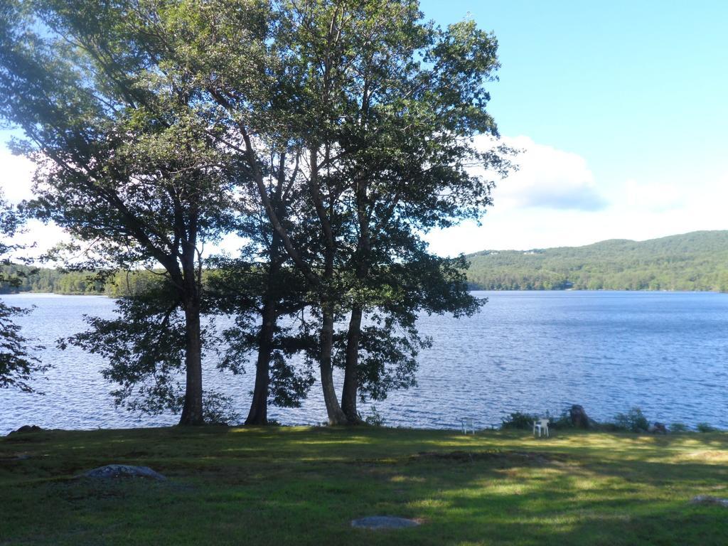 White Oak Motel & Cottages Holderness Екстериор снимка